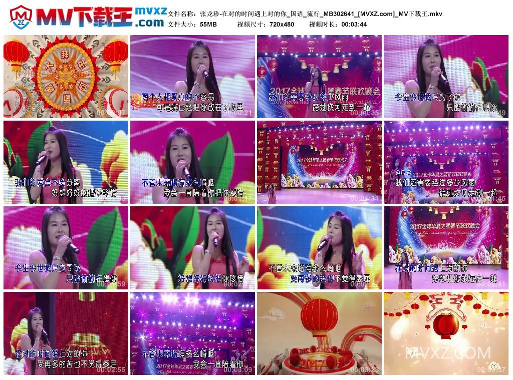 张龙珍-在对的时间遇上对的你_国语_流行_MB302641